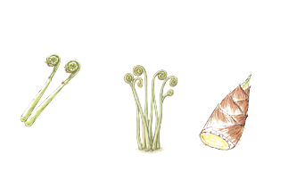 野菜のアク抜き・２ページ目