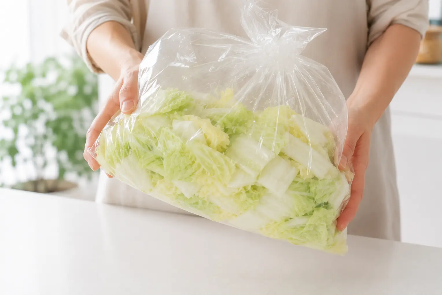 空気を入れたポリ袋を振って白菜にあさ漬の素をまぶす工程
