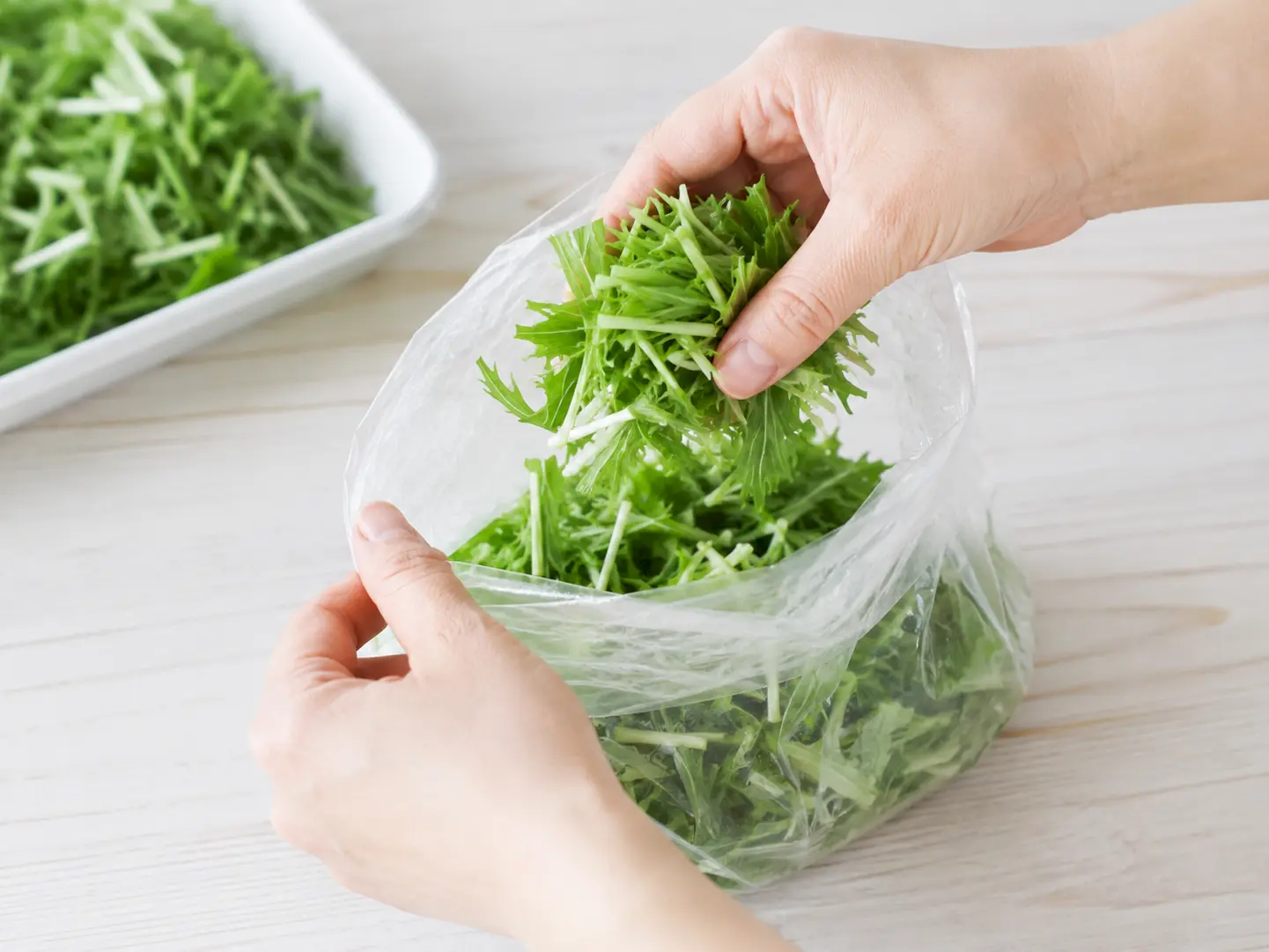 細かく刻んだ水菜を透明な食品用ポリ袋へ入れている工程