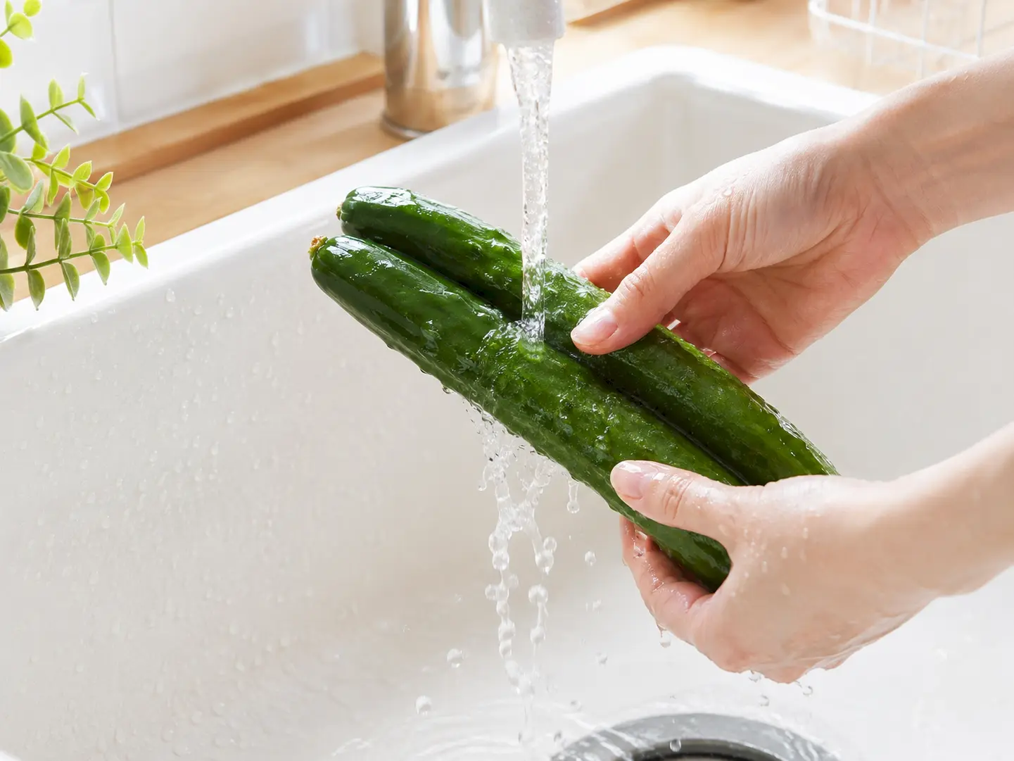 新鮮なきゅうりを流水で丁寧に洗っている工程